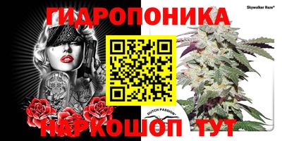 трава Новозыбков