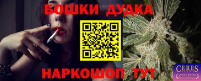 apvp Новодвинск