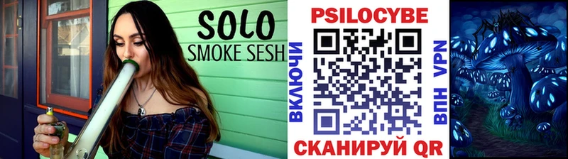 Псилоцибиновые грибы мицелий  где продают наркотики  Тайшет 