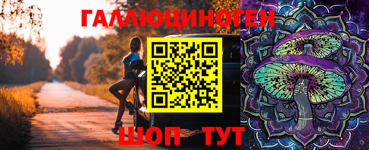 Псилоцибиновые грибы Magic Shrooms  Вход с VPN  магазин продажи наркотиков  Тайшет 